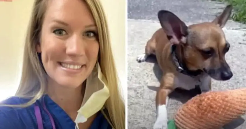 Nurse Melts 8 Million Hearts For Adopting Dog After His Owner Dies