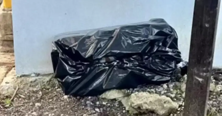 Woman Finds A Mysterious Garbage Bag And Left Speechless When She Looks Inside