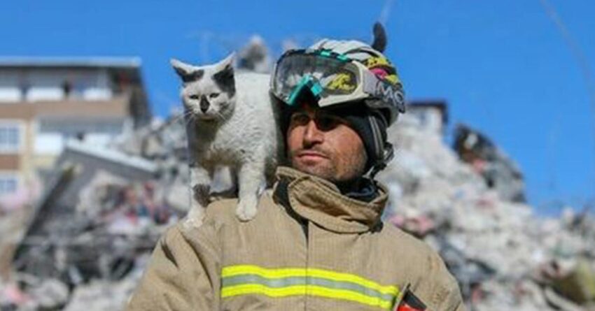 Turkish Firefighter Saves Cat From Earthquake Rubble, Now Refuses To Leave His Side