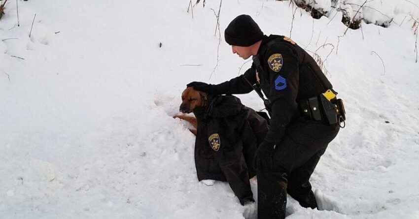 Police Officer Give Injured Freezing Dog His Own Coat To Keep Her Worm