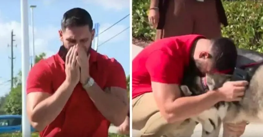 Man Encounter With His Missing Dogs During A Pet Adoption Photoshoot