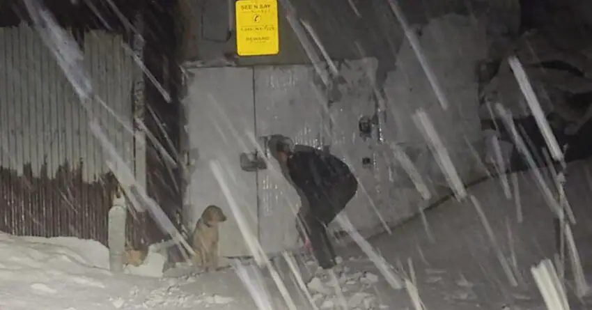 Police Officer Challenges Heavy Snow To Save Lost Dog In Snowstorm