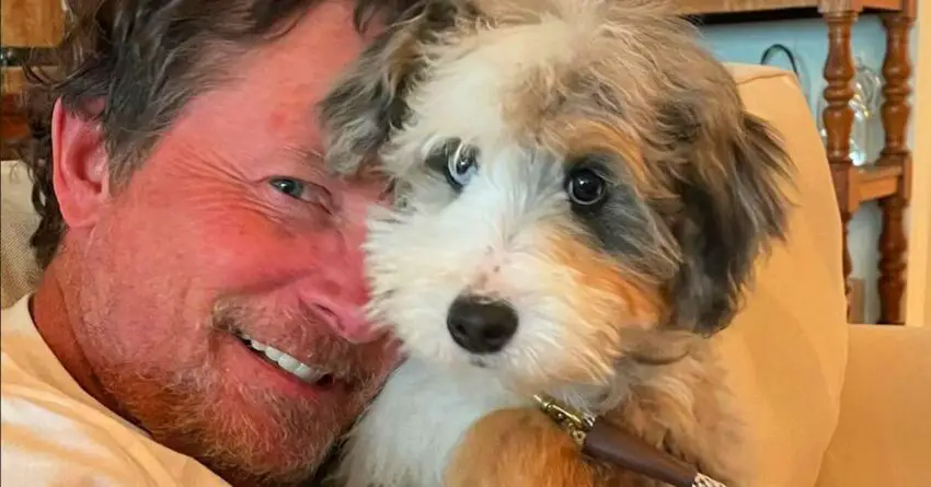 Michael J. Fox has Unveiled His New, Gorgeous Dog, Blue: ‘Welcome To Your New Home!’