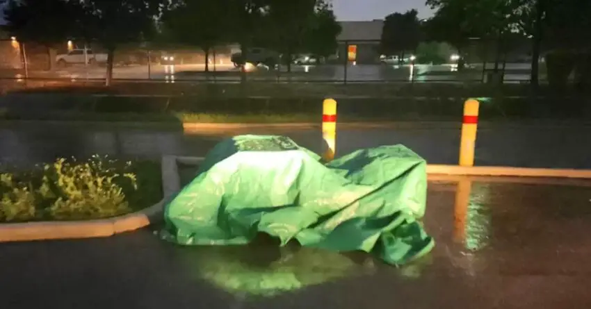 Shelter Employee Uncovered Mysterious Tarp And Is Heartbroken By What Was Beneath