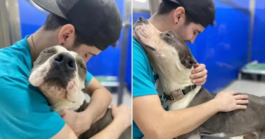 ‘Grateful’ Shelter Dog Gives Loving Hugs to All His Rescuers