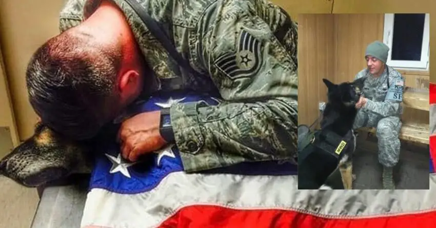 Soldier Gives His K-9 Partner One Last Hug And Stays With Him Till The  Last Moment