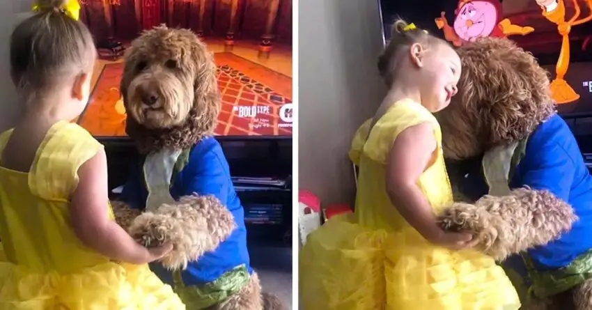 Toddler And Her Goldendoodle Perform A Dance Just Like Beauty And The Beast