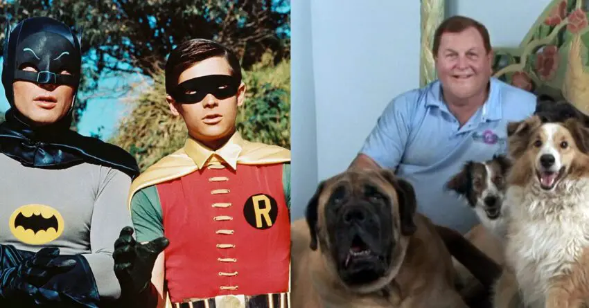 Burt Ward Who Played Robin On Classic Batman TV Series, Devotes His Life To Help Animals