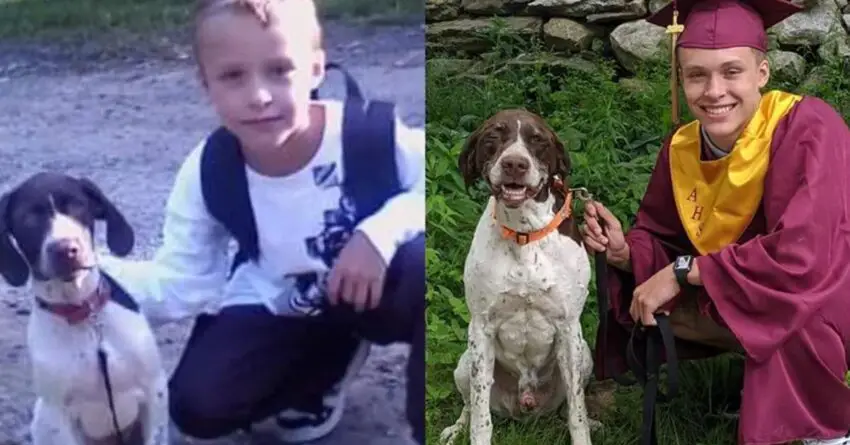 Boy Who Just Graduated Recreates A Photo With His Beloved Dog On First Day Of School