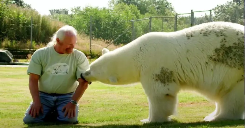 Polar Bear Is Bonded To Her Human Dad And She Purrs Whenever Her Comes Close