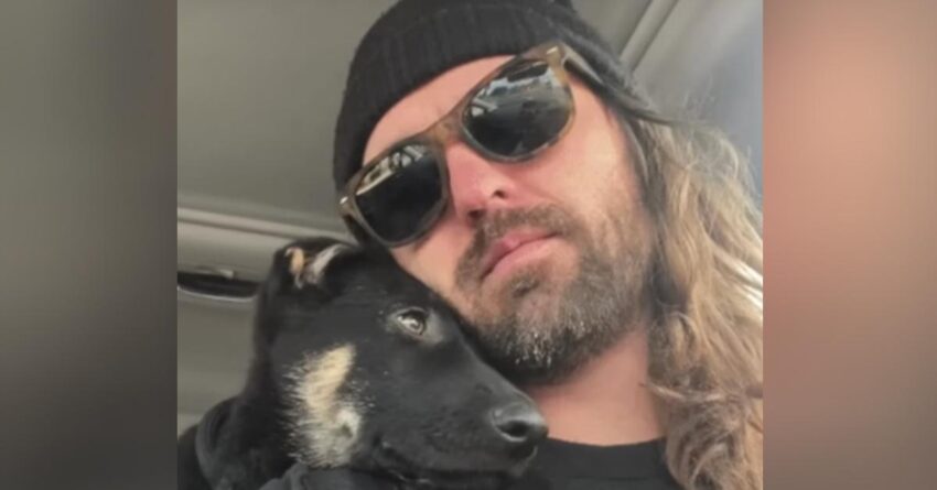 Kindhearted Man Looks For Unwanted German Shepherd Puppy And Give Him A Second Chance