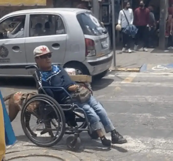 Devoted Dog Captured on Camera Pushing His Owner’s Wheelchair Goes Viral