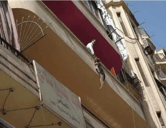 A Dog Gets Hung From A Balcony After Trying To Break Free As He Was Tied Outside In It