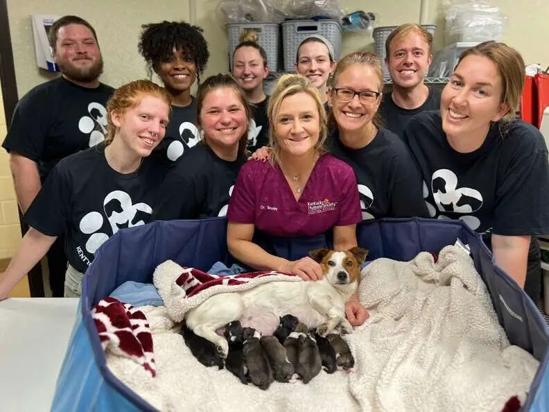 Tiny Shelter Dog Shocks Vets By Giving Birth To So Many Puppies