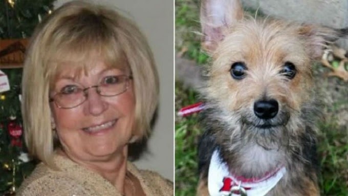 70-Year-Old Woman Says She Wasn’t Allowed To Adopt Dog Because She’s Too Old – 115