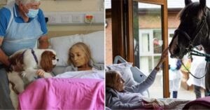 Sick Woman Says Goodbye to Her Beloved Horse And Dogs For The Last Time From Her Hospice Bed.