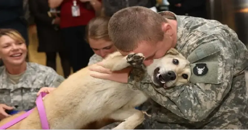 Old dog cries tears of joy at owner’s return from war