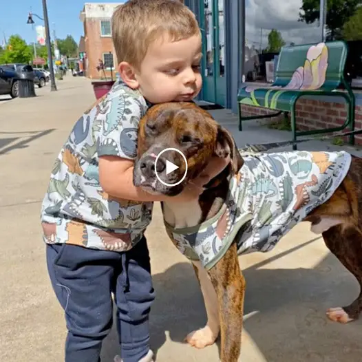 “To convince her husband that their new dog has become a family member, the mother buys uniforms for the dog and their son.”