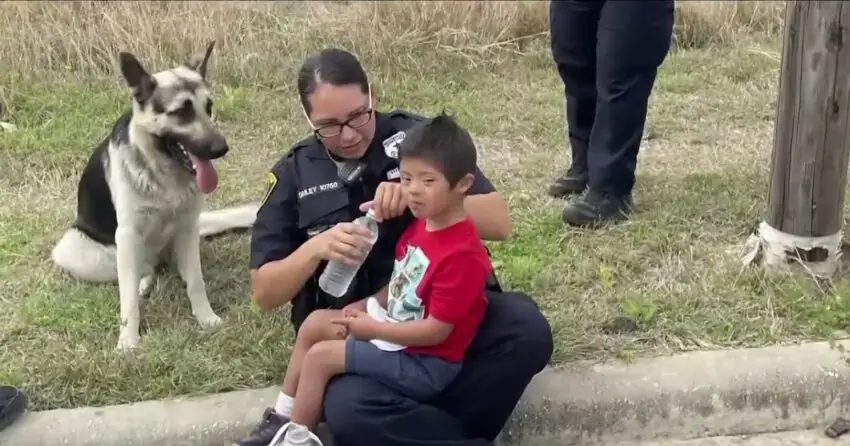 Incredible Story: Down’s Syndrome Boy Wanders Away, But Finds Unwavering Protection from His Loyal Guardian Angel GSD