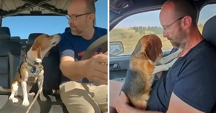 Labrador Retriever Jumps Into Man’s Arms To Express Gratitude For His New Life