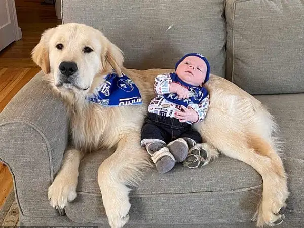 AdоrabIe Vidео Captures A Dog’s Heartwarming Friendship With A Human Baby Brother