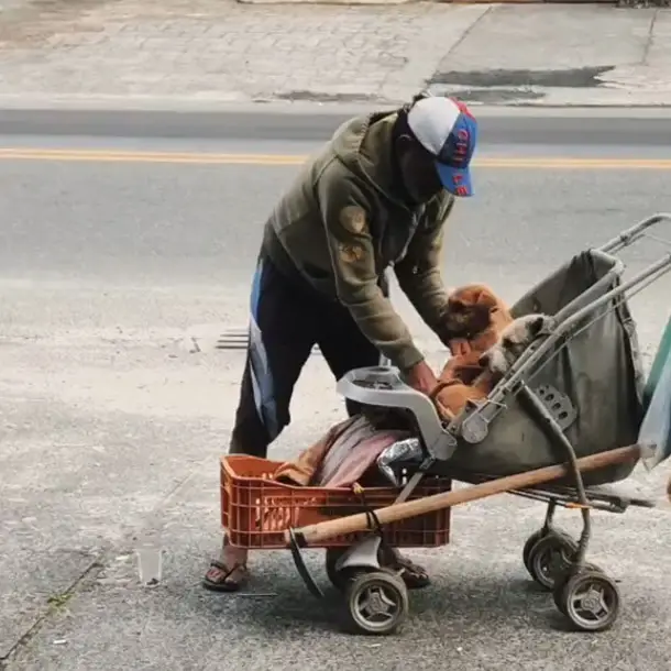 Homeless Guy And His Pets Show Their Genuine And Unconditional Love