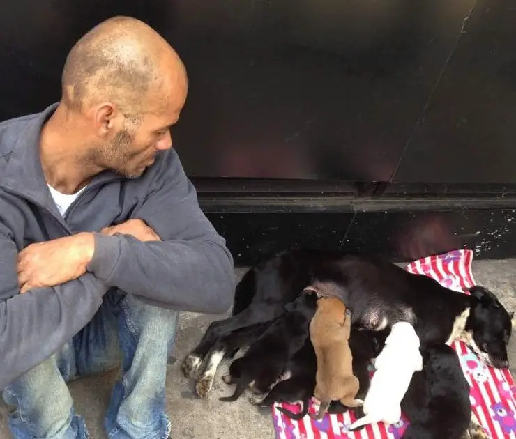 Man Sells Everything He Could To Save His Dog With Her Seven Puppies And Goes Viral For Touching The Hearts Of All People Around The World