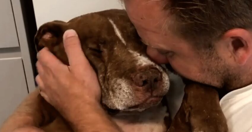 Senior shelter dog was desperate for love. Then he found the perfect home.