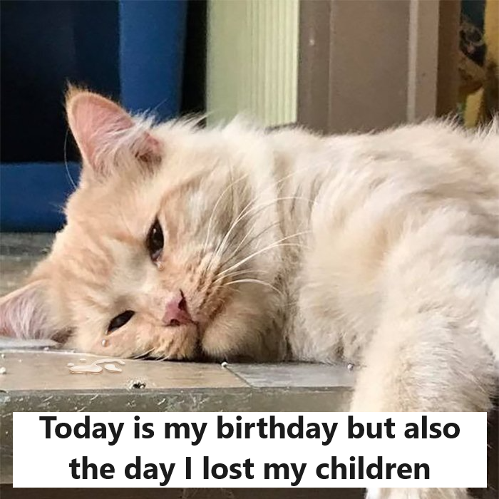 Today is my birthday but also the day I lost my children