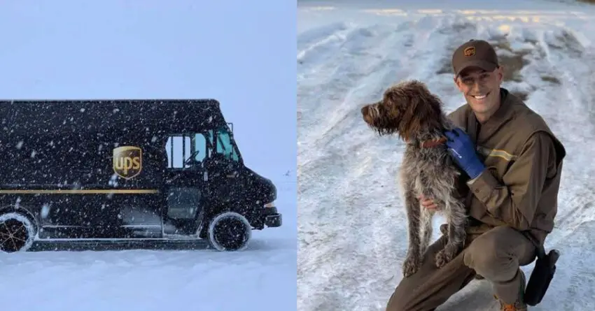 UPS Driver Challenges Icy Water And Saves Drowning Husky