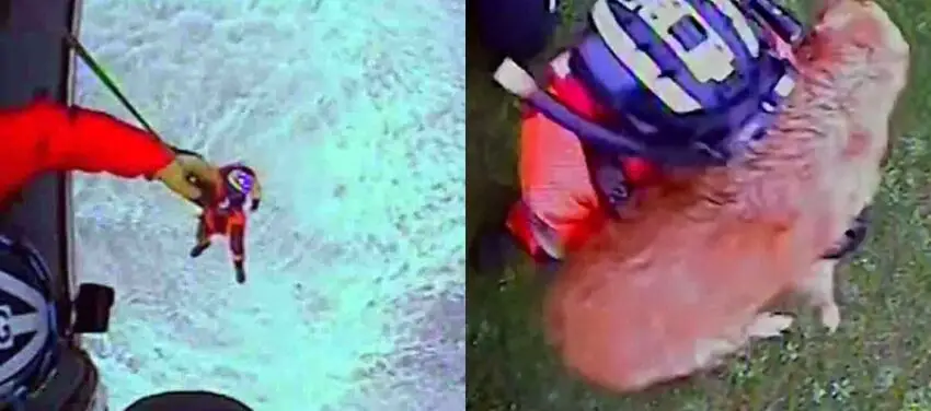 Coast Guard Airmen Saved Dog That Had Fallen From 300 Foot Cliff