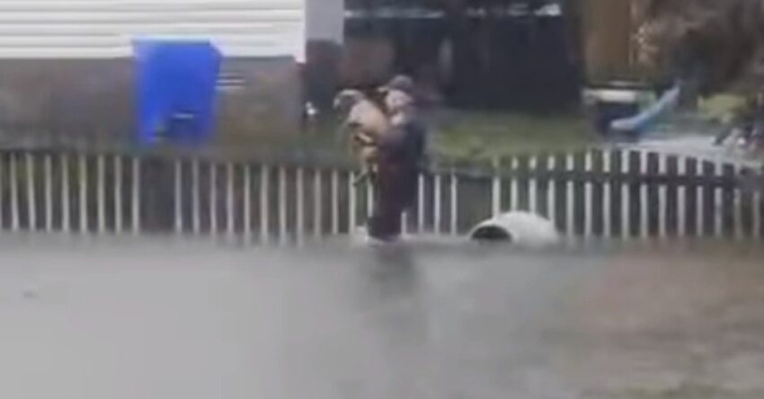 Police Officer Filmed While Rescuing Pit Bull Almost Drown In Floodwater