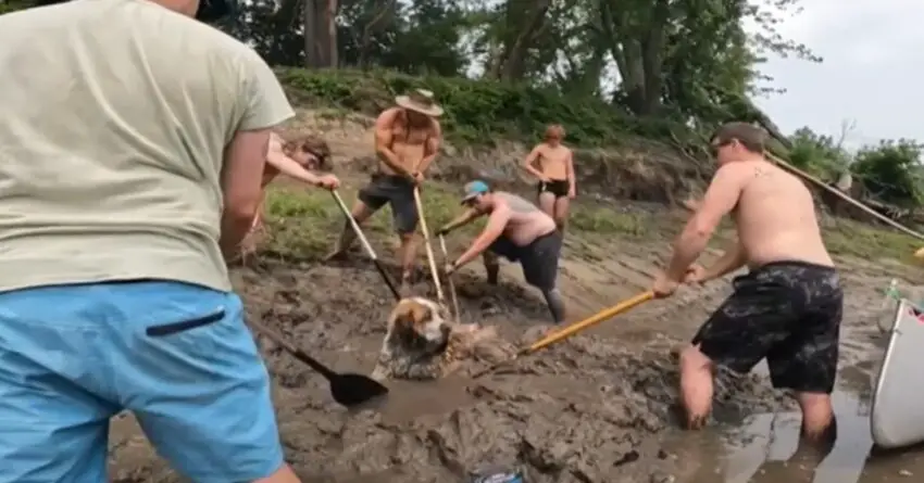 Bachelor Party Ends Up Saving Dog Buried Up To the Neck In Mud Along Minnesota Riverbank