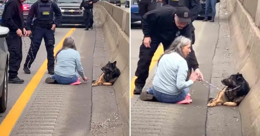 American Woman Stops Highway Traffic To Save Trapped Run Over dog