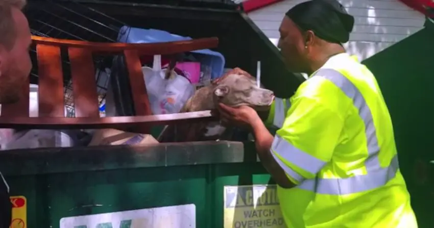 Family Wants Their Dog Crushed, So They Throw Her Out With The Trash