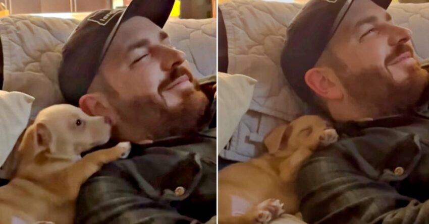 New Adopted Puppy Thanks His Dad For Choosing Him And Falls Asleep