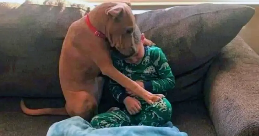 Happiest Photo Ever For Dog’s First Night At Home From Shelter