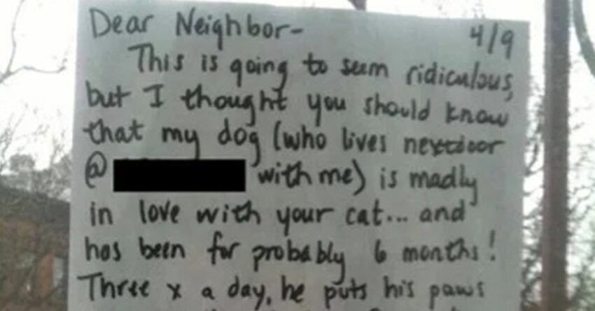 Heartbroken Pup Asks His Owner To Write A note For The Neighbors