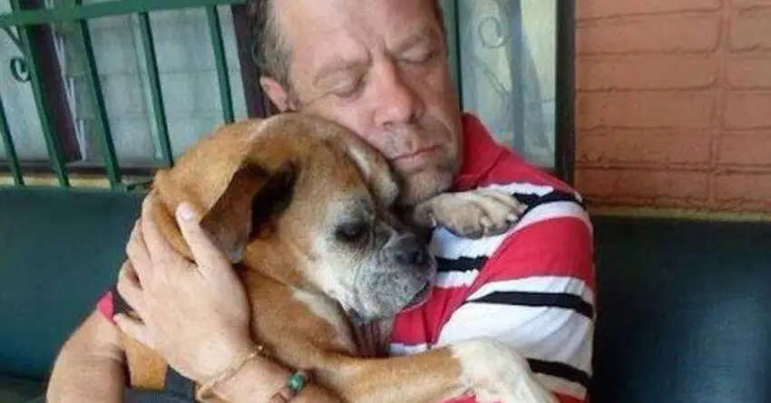 Owner Got An Amazing Reunion With His Lots Boxer Dog Who Rescued From Streets