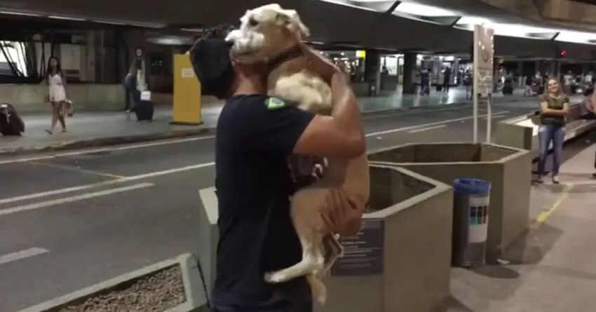 Dog Overflows with Joy as He Reunites with Owner After 10 Days Apart