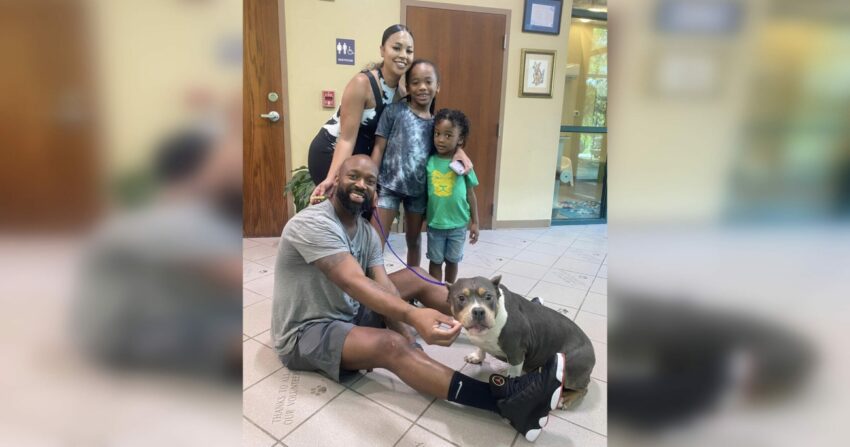 Dog Who Went Missing For Three Years Finally Found And Got Reunited With Family