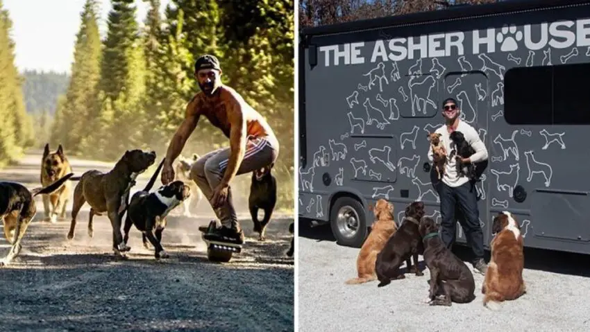 Man Quits His Job In Order To Travel And Rescue Dogs From Shelters Through The Country