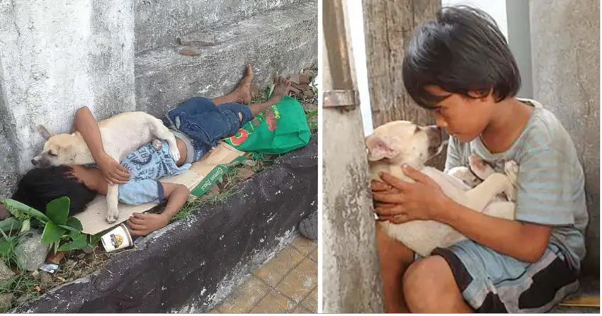 Touching Scene For Abandoned Boy Who Found Love In The Dog’s Arms