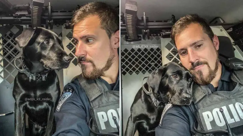 K9 Dog Insists To Cheer Up Her Partner Dad At Work Daily