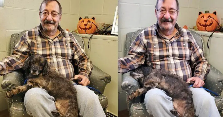 Man Visited Shelter, Searching For An Old Dog To Adopt, The Dog’s Reaction Was Beyond Sweet.