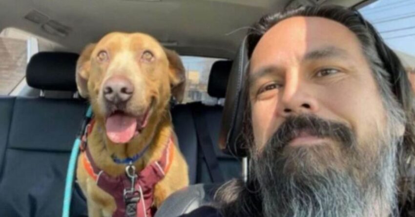 Man Never Stopped Looking For His Lost Dog, And Finally Found Him After 4 Years