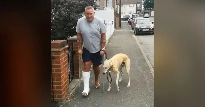 Sweet Dog Hilariously Fake Limps Out Of Compassion For Owner