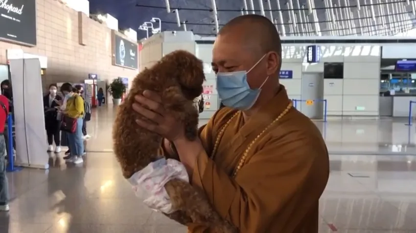 Buddhist Monk Dedicated His Life To Rescue Thousands Of Stray Dogs