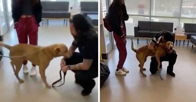 Man Swore To Never Give Up On Finding His Lost Dog And Reunites With Him After 4 Years