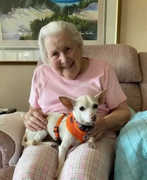 100-year-old woman finds ‘perfect match’ in 11-year-old senior chihuahua